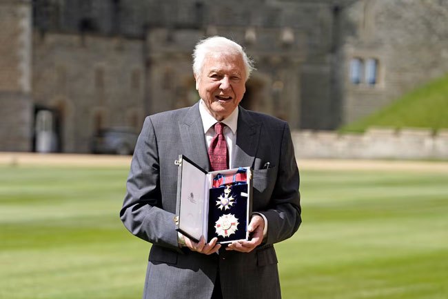 David Attenborough turns 100, ‘overwhelmed’ by birthday wishes