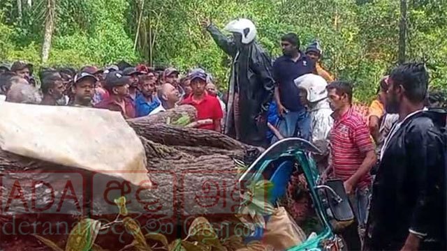 Three killed, including schoolboy, after tree falls on three-wheeler in Nawalapitiya