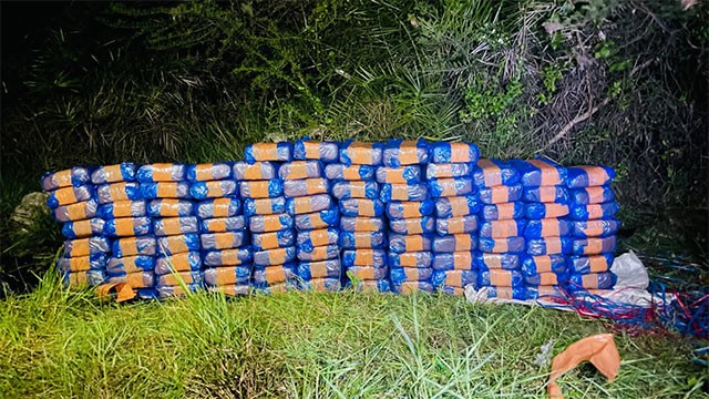 220kg of Kerala cannabis seized in STF operation in Jaffna
