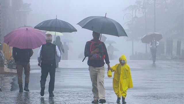 Showers expected in several parts of the island today 