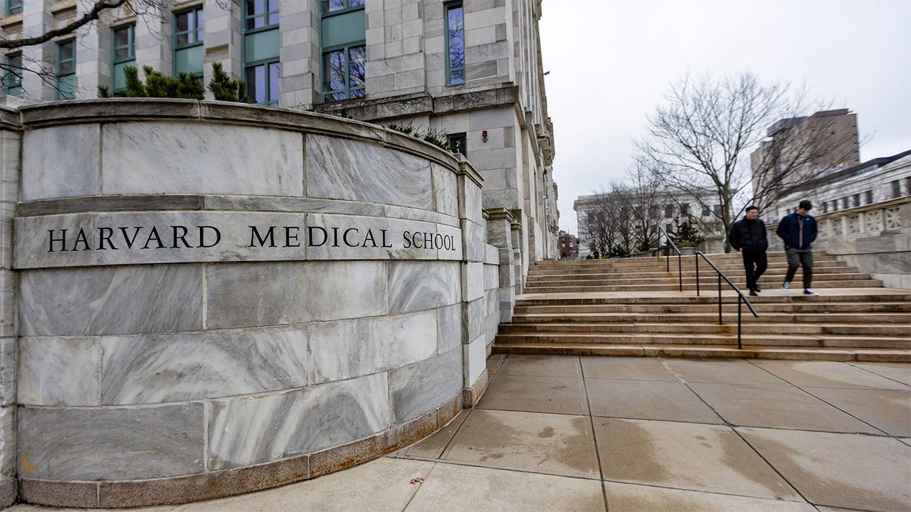 Harvard University settles major case over unauthorised body part sales