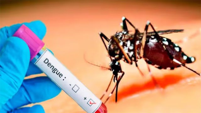 Dengue cases in Sri Lanka surpasses 94,000