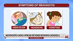 Around 200 cases of meningitis reported so far from several areas; Health Ministry issues guidelines