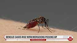 Sri Lanka's dengue cases cross 35,000 with 19 deaths reported so far this year